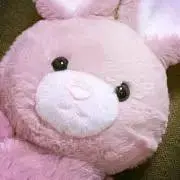 みかわの画像