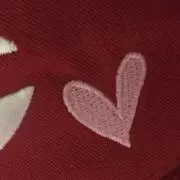 Ariの画像