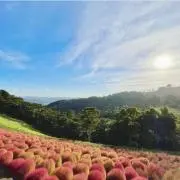 まりは✳︎8880の画像