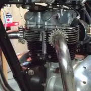 きのの画像