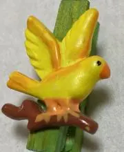 pocoの画像