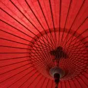 pante-syon-ぱんてーしょん-の画像