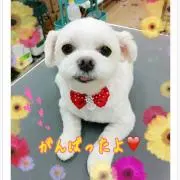 なおみん♪