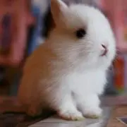 まつぼーろ*