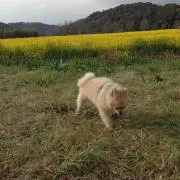 takkunn
