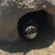 Mの画像