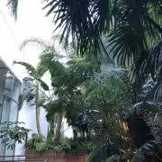 断舎離 ※平日発送可能※の画像