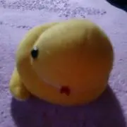 みん♪プロフ必読