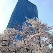 T☆Kの画像