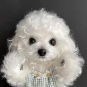 suus【スース】移動しますm(__)m