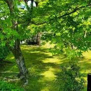 ちゃりぃの画像
