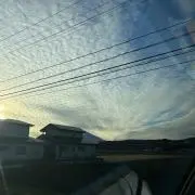 人型タンパク質