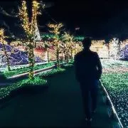 麗