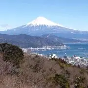 ワンちゃん