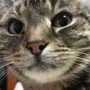 カンペイ