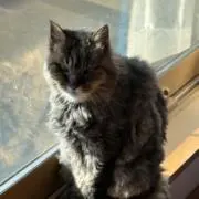 ひろの画像
