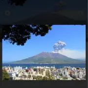 みーの画像