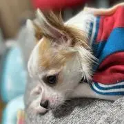 めぐみ