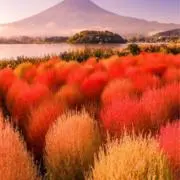Kay【プロフ必読】よろしくお願いしますの画像