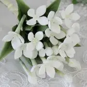 ずんの画像