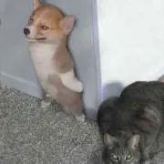 のっっ！