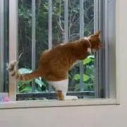 ちゃんみ。