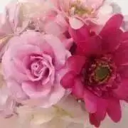 ふぁいの画像