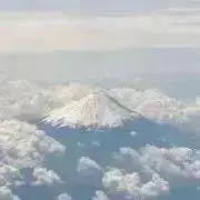 ゆうき123の画像