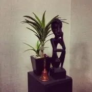 たけの画像