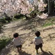 Yumaの画像