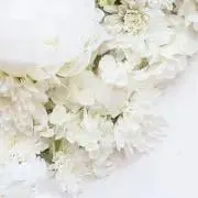 m✾