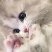 ♡の画像