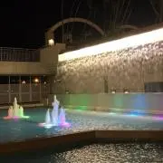 あざらしの画像