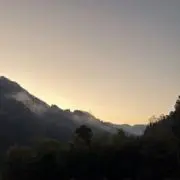Rの画像