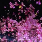 とまとまの画像