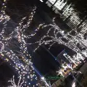 みんとの画像