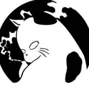 炬燵猫
