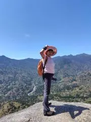 ナツの画像