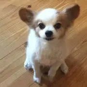 mokachi⭐️必ずプロフ必読！の画像