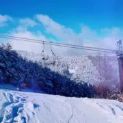 ラムネもちの画像