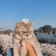 断捨離中だよ。の画像