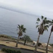 ばたむにあの画像