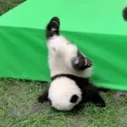 ruiの画像