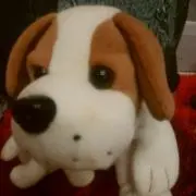 ほわいんコロの画像