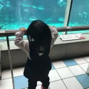 Image of つむつむ