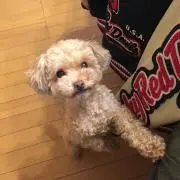 FIX