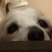 てーまん