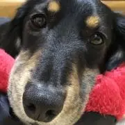 まっちゃん