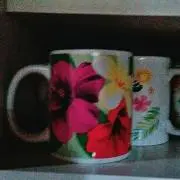 fukko429の画像