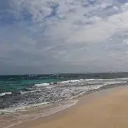 ちーの画像